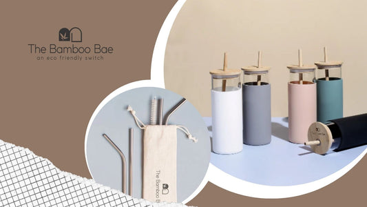Which is the best straw alternative in India for plastic straws?