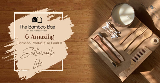 6 Amazing Bamboo Products to Lead a Sustainable Life