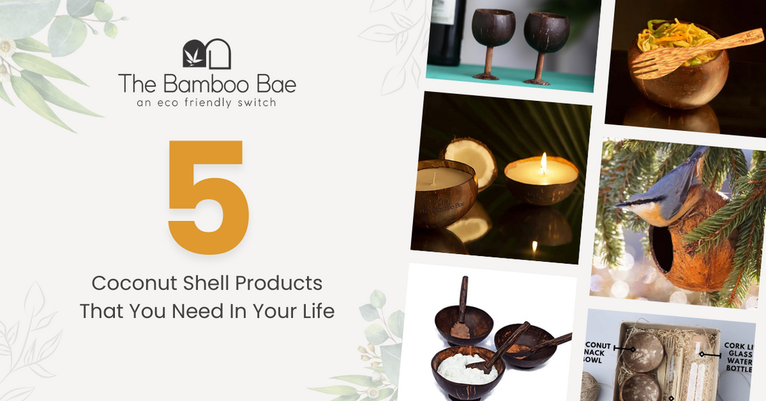 5 Coconut Shell Products That You Need in Your Life
