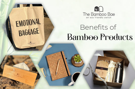 Benefits of Bamboo Products
