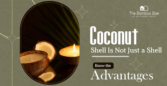 Coconut Shell Is Not Just a Shell: Know the Advantages