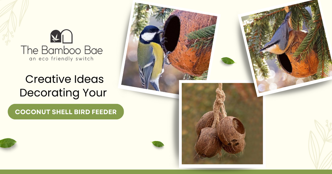 Creative Ideas Decorating Your Coconut Shell Bird Feeder