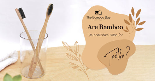 Are Bamboo Toothbrushes Good for Teeth?