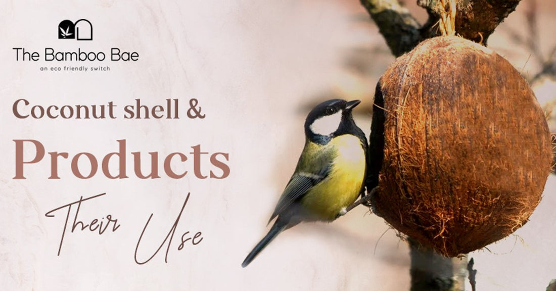 Stylish Coconut Shell Accessories by Coconut Expressions