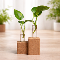 EcoNest Natural Cork Planter (5 cm) – Sustainable Succulent Pot, Minimalist Desk Planter