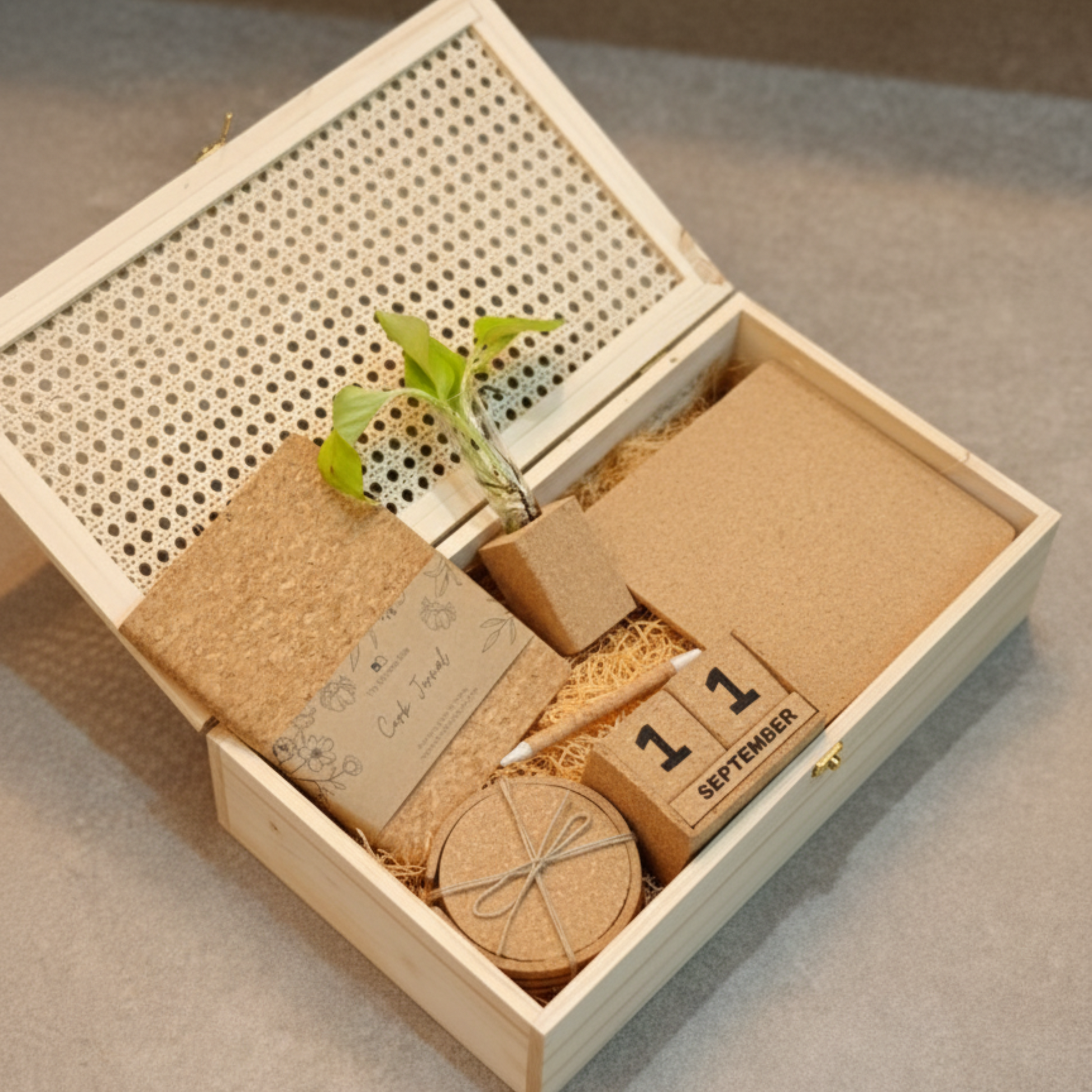 Eco-friendly gift hamper with cork diary, round cork coasters, cork pen, wooden desk calendar, mini plant in cork planter, and cork storage box – perfect for sustainable corporate gifting.