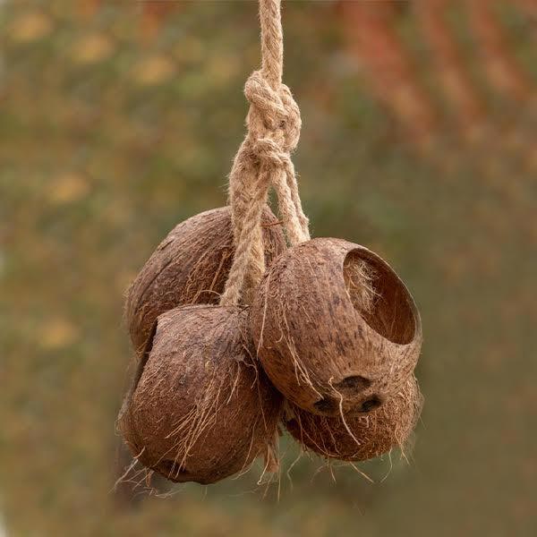 Bird Feeder | Coconut Shell Bird House with Hanging Rope | Bird Nest